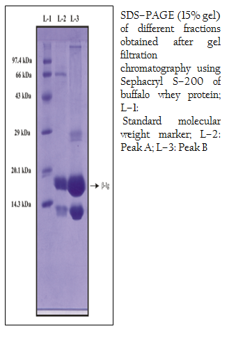 Thesis molecular marker